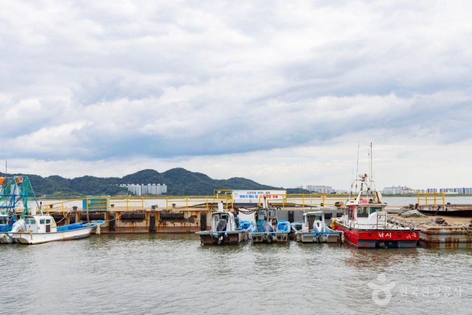 장항항 사진 5