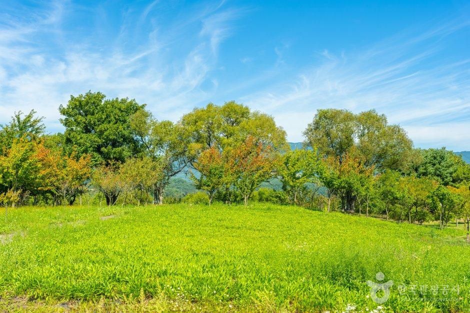 해안야생화공원