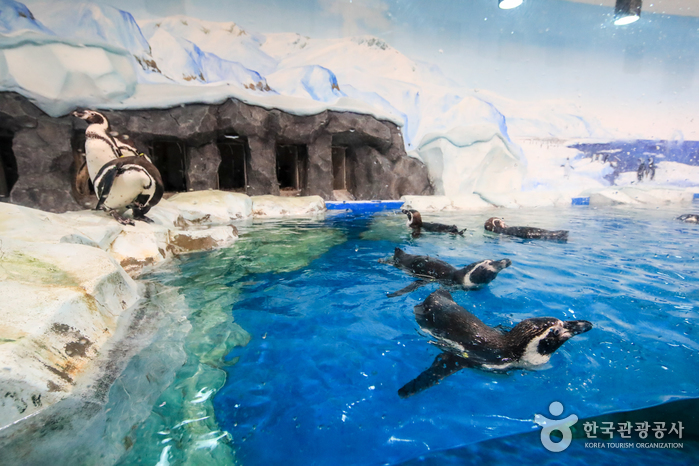 鏡浦水族館