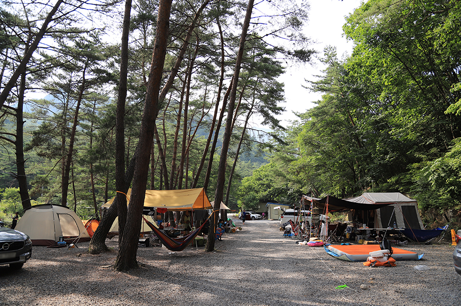 サンゴルキャンプ場