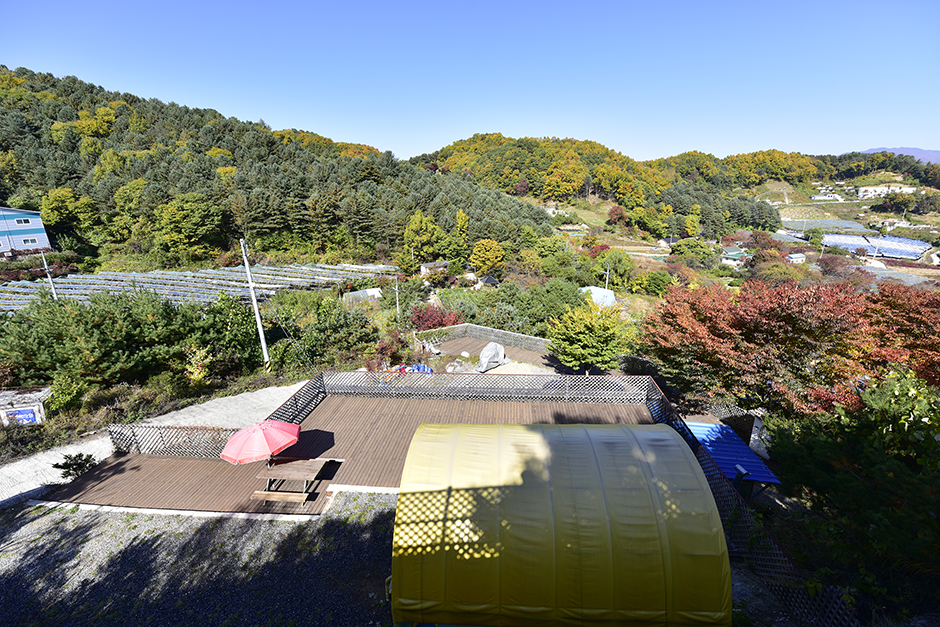 加平リンゴの木 キャンプ場