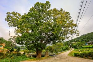 양평 쌍겨리마을