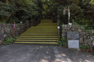 금산공원(납읍난대림지대)