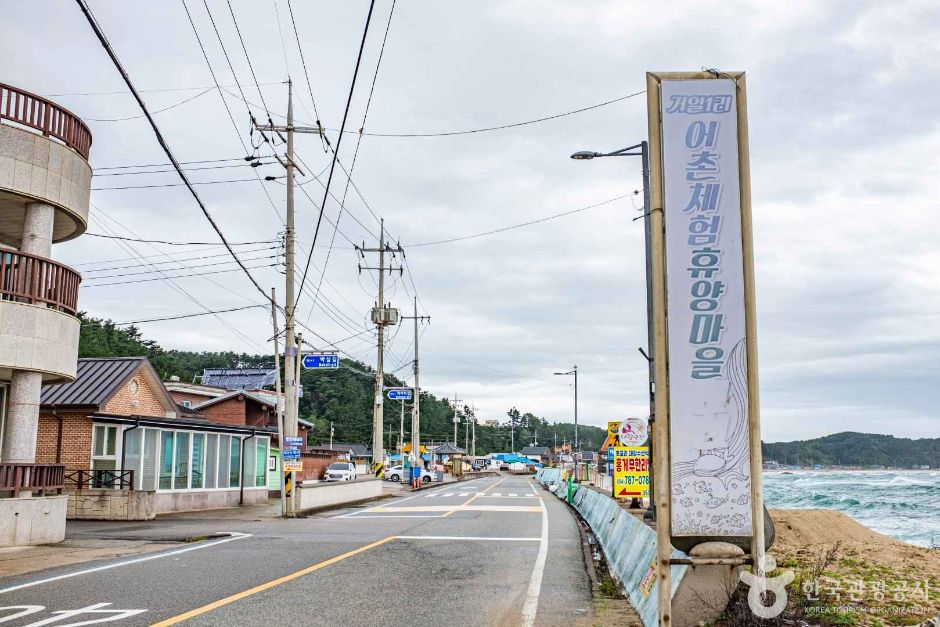 巨一1里漁村体験村