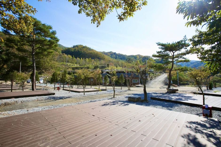 オドチキャンプ場