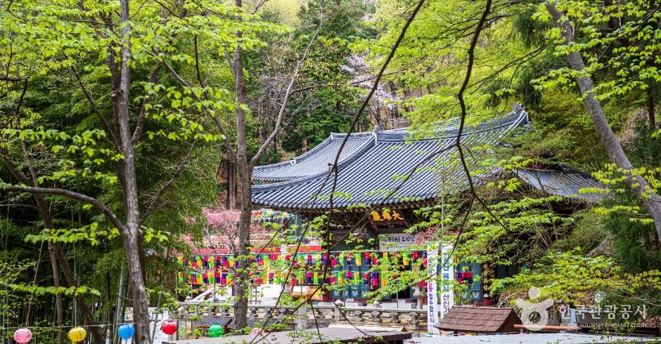 虹龙寺(梁山)