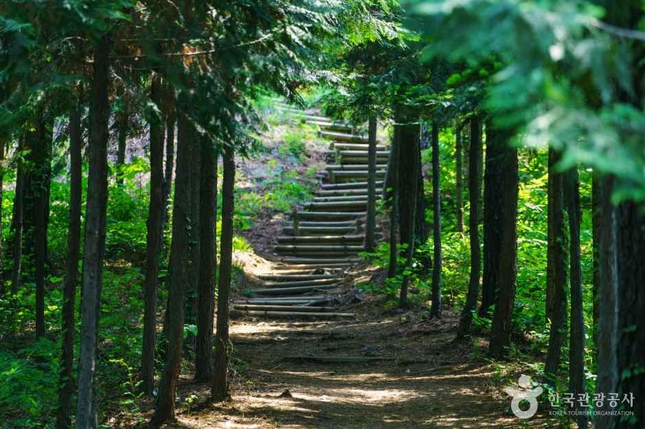 龍仁自然休養林