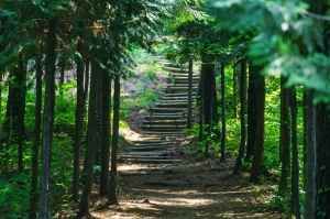 용인자연휴양림