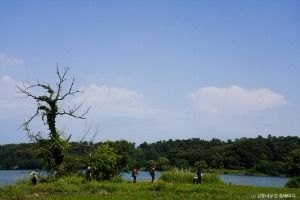 [강릉 바우길 10구간] 심스테파노 길