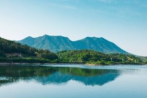 금성산·비봉산(의성)