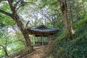 남희정