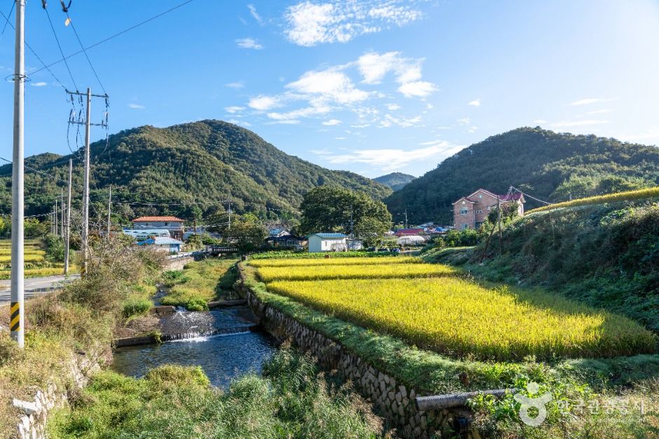 银谷枸杞村