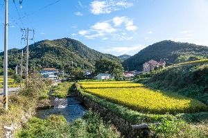 은골구기자마을