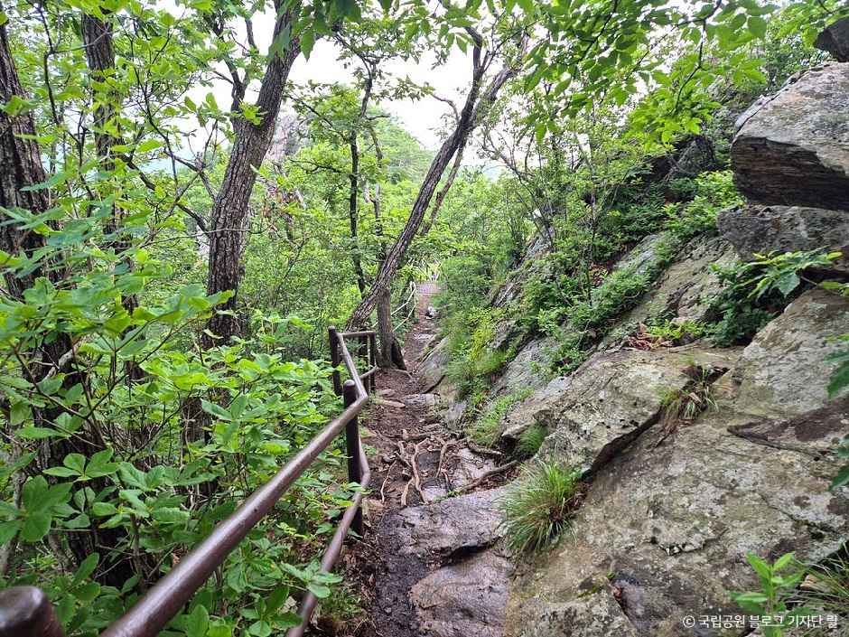 단양_금수산 (5).jpg