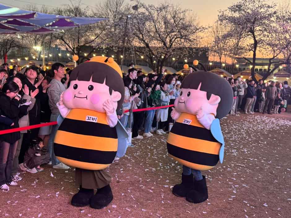金堤 花光ドリ祭り