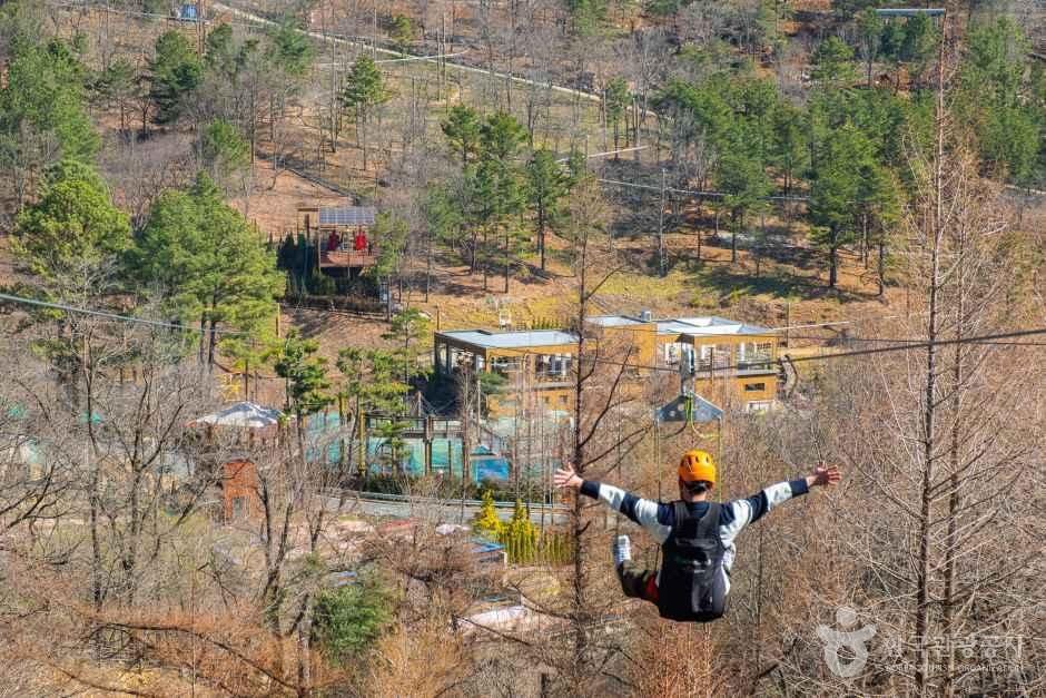 月牙山の森の真珠