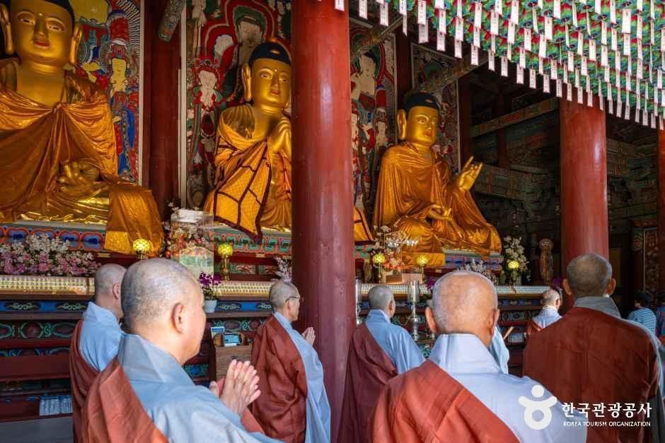 보은 법주사 [유네스코 세계유산]