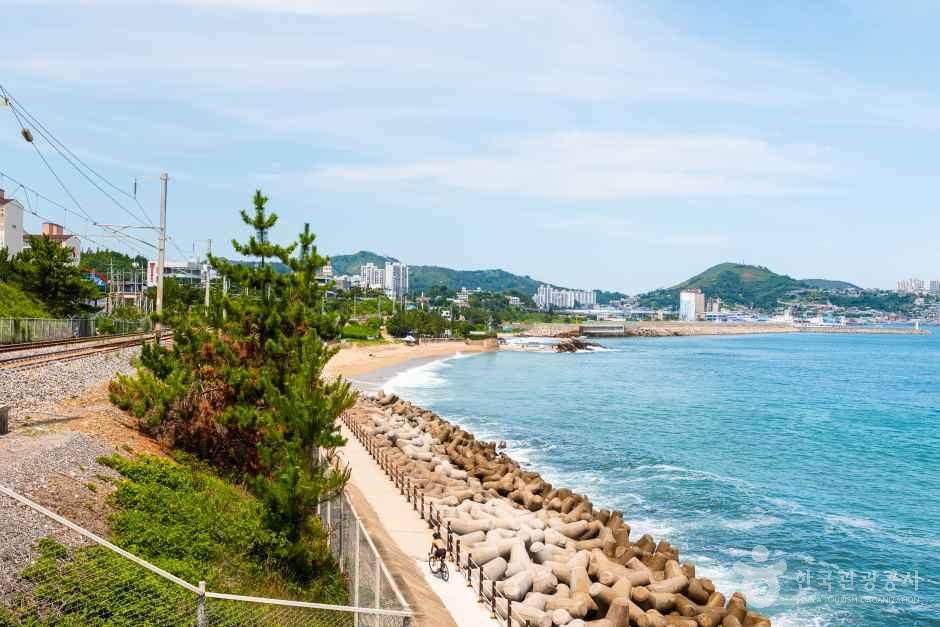 하평해변(동해)