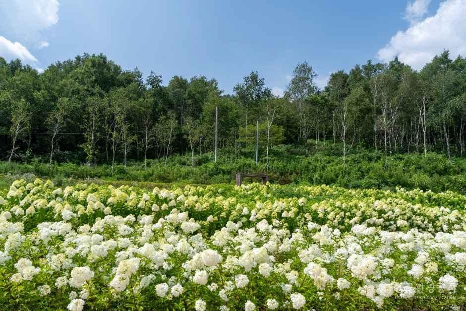 뜬봉샘생태공원 - 전북특별자치도 장수군 장수읍 물뿌랭이길 10-18 관광 명소