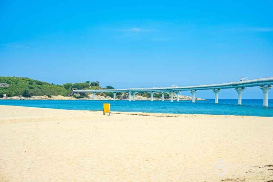 [해파랑길] 47코스 사진 5