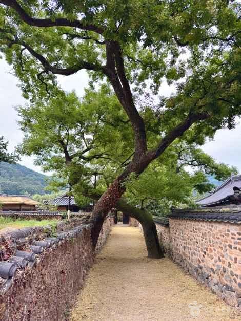 남사예담촌