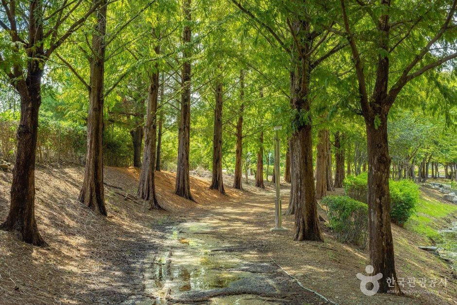 수질정화공원 사진 4