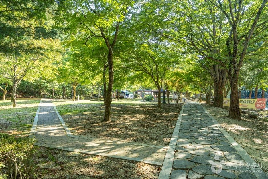 화암약수 야영장