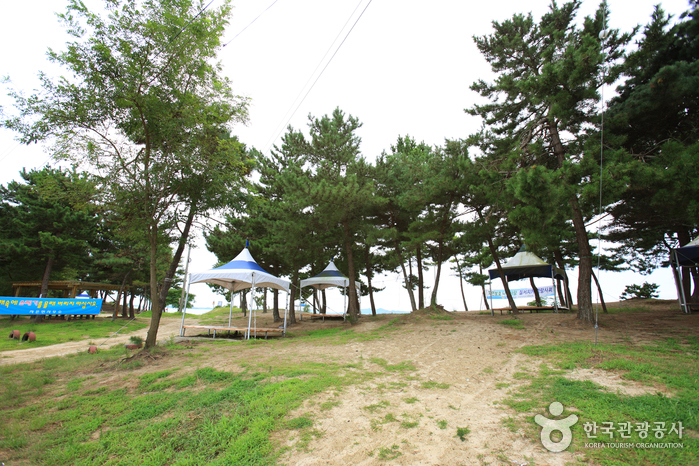 자은 백길해수욕장 자은 백길해수욕장