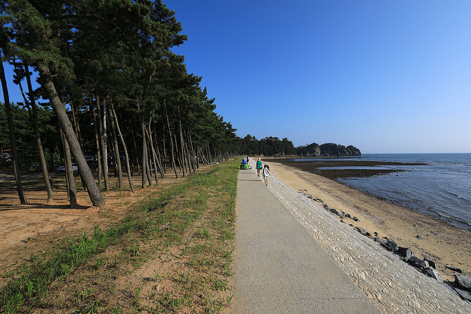 白沙滩四季林露营地