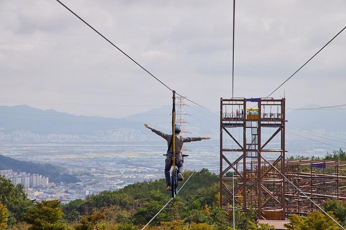 The bicycle seems to be flying over the Gimhae fields.