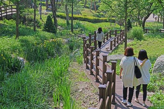 A family walking on the observatory deck over Eco Marsh