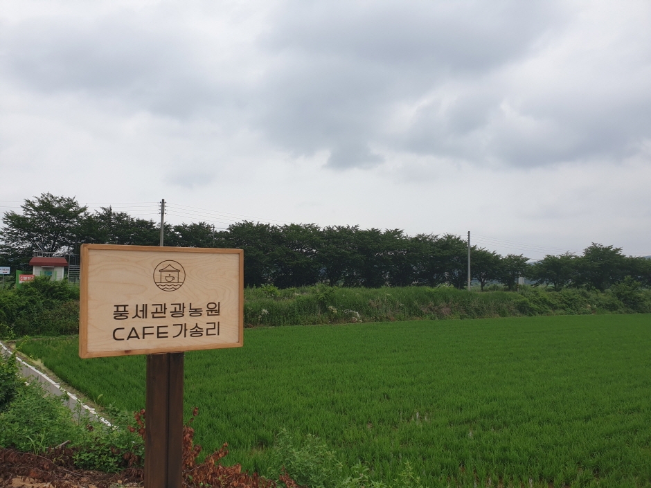 丰岁观光农园