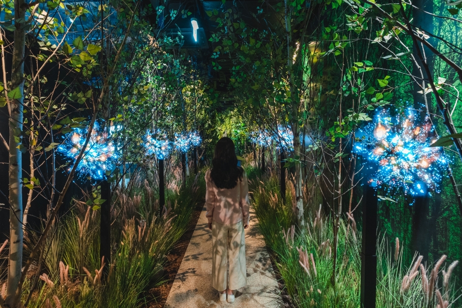 Discovery Nature Scape Dongtan Branch