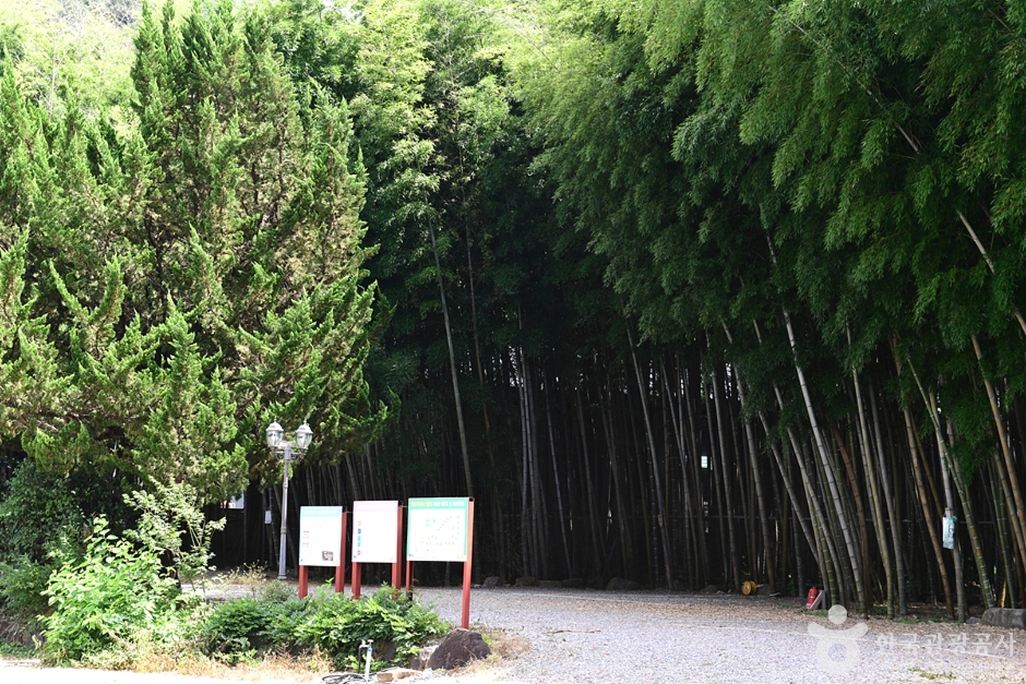 竹林谷自驾露营地
