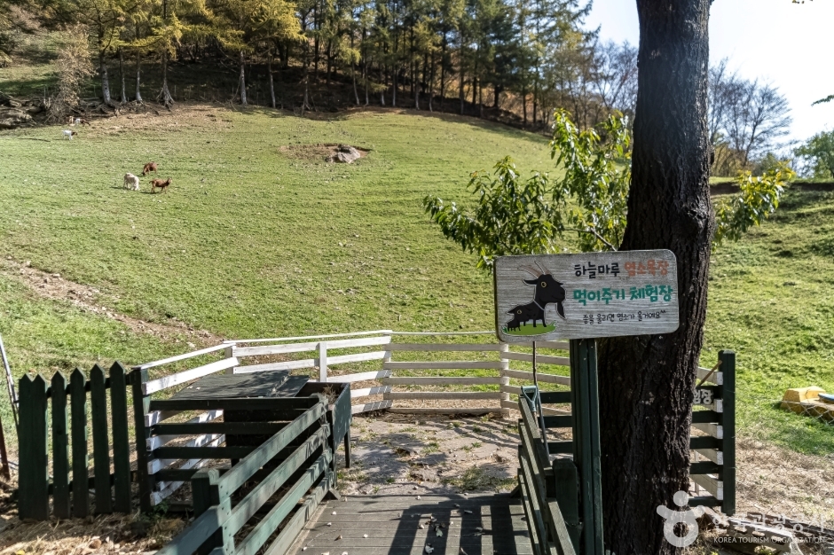 ハヌルマル山羊牧場