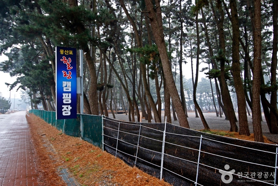夢山浦ヒーリングキャンプ場