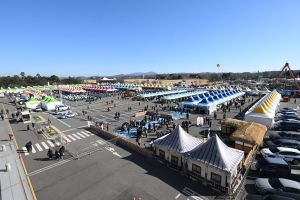 Festival del Frijol Jangdan de Paju (파주장단콩축제)