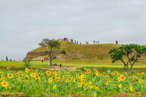 [DMZ 평화의 길] 1·21 침투로 탐방 코스