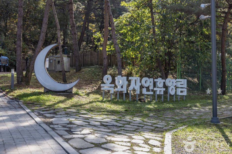 玉花自然休養林