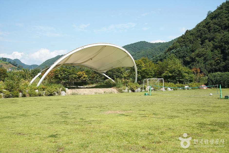 용늪자연생태학교