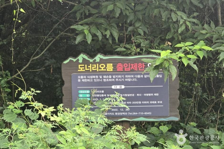 도너리오름