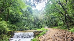 [시흥 늠내길 3코스] 옛길