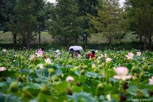 [강릉 바우길 11구간] 신사임당길
