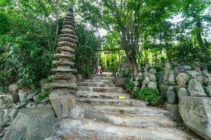 거제자연예술랜드