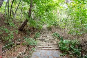 개심사 가는 길