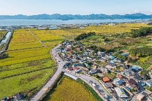 안현돋음볕마을