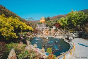 3570870 image3 1 예스키즈존 탐험대 : 실패 없는 육아여행