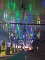 2025 온천천 빛 축제 8