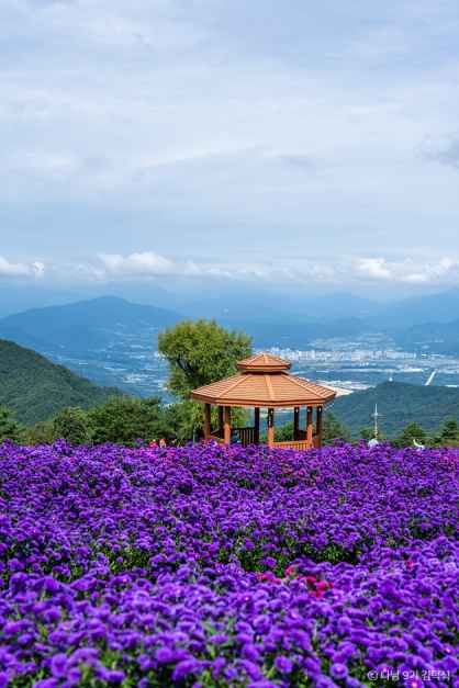 거창 별바람언덕