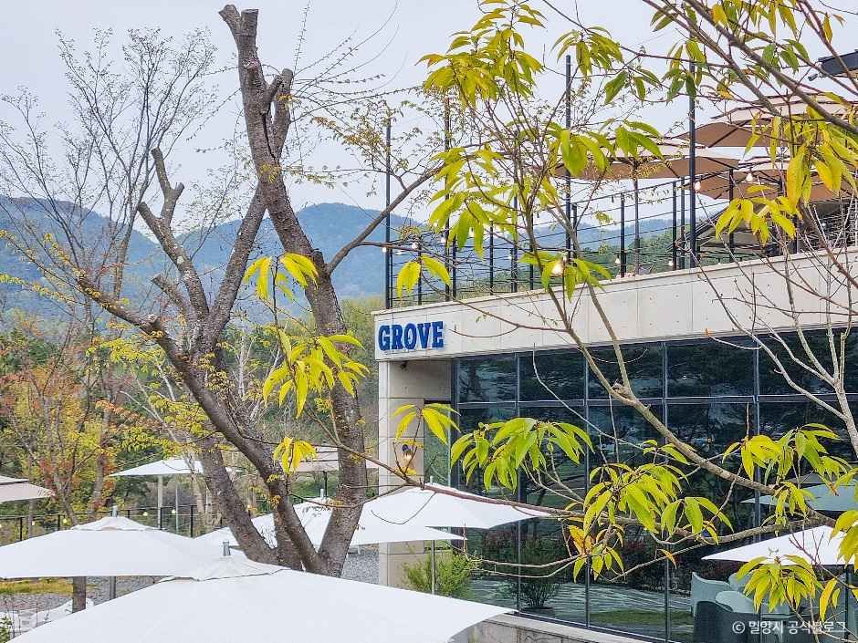 밀양_카페 그로브 (3).jpg